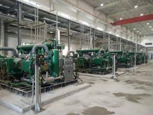 Quality Stainless Steel Gas Cryogenic Hydrogen Purifier Compression Skid wholesale