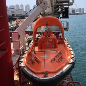 Quality Single Arm Rescue Davit System For Lifeboat And Rescue Boat wholesale