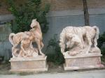 Lions sculpture with nature stone