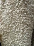 Camel Cut Flower Warp Knitted Fabric 610gsm