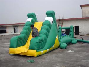 Quality Aqua Floating Water Sports, Inflatable Crocodile Water Obstacle Course wholesale