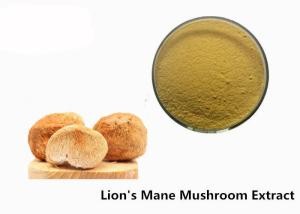 Quality Anti Viral 50% Beta D Glucan Organic Lion'S Mane Mushroom Powder wholesale