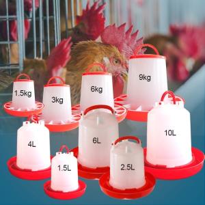Quality Broiler Outdoor 3kg Plastic Poultry Feed Trays Chicken Drinker wholesale
