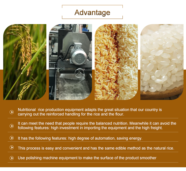 High Automation Twin Screw Fortified Rice Processing Machine 100kg/h-900kg/h Condition