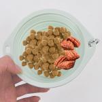 Portable Collapsible Pet Bowl | Perfect for Outdoor Adventures