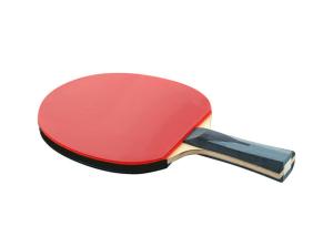Quality Carbon Fiber Ayous 7 Layer Table Tennis Rackets Reverse Rubber with Technology wholesale
