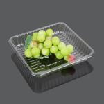 Square Transparent 18*18*3cm PET Plastic Tray