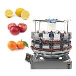 Automatic Dried Vegetables Weighing Digital Scales Multihead 14 Heads Dried