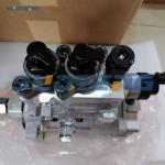 0445025602 3752647 Diesel Fuel Injection Pump