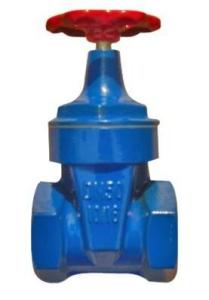 Quality Ductile Iron GGG40 Thread End Resilient Seated Gate Valve wholesale