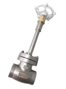 Quality Cryogenic CF8 SS304 SS316 WCB Socket Weld Globe Valve wholesale