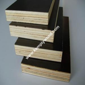 Quality Phenolic film faced plywood board price/ structural plywood/ film faced shuttering plywood wholesale