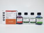 Acid Fast Stain (Kinyoun)_TB Stain Baso Clear Colourful Stains