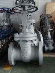 300LB Flex Wedge Gate Valve
