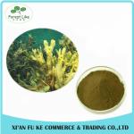 High Quanlity Fucus Vesiculosus Extract Powder