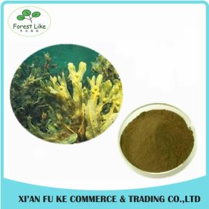 Quality High Quanlity Fucus Vesiculosus Extract Powder wholesale
