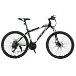 Sport Bike Customized Color Logo Customized Logo Cycle Mountain Bike
