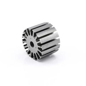 Quality Brushless DC Motor Rotor Silicon Steel Stamping DC Motor Permanent Magnet Rotor wholesale