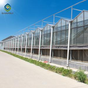 Quality Layer Commercial Garden Clear 12m Flower PC Sheet Greenhouse wholesale