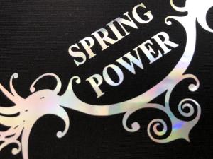 Quality Pet Heat Transfer Film High Definition For All Kinds Of Clothing Bags Shoes wholesale