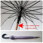 BV 14mm aluminum shaft Windproof Golf Umbrellas