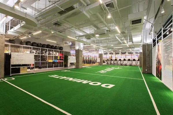 Visible Court Lines Latin America Commercial Sports Artificial Turf For Regular