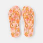 Indoor Waterproof Rainbow Thick Strap Flip Flop With EVA Sole