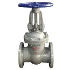 GOST Z41T-16 cast steel flanged gate valve