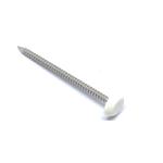Annular Ring Shank Roofing Plastic Caps Stainless Steel For Outside Construction