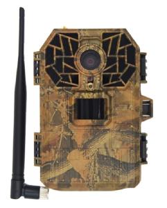 Quality Smart Wireless Outdoor Wildlife Video Camera Wireless Internet Deer Camera wholesale