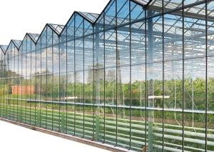 Quality Multi Layer Heat Insulating Glass For Greenhouse Solar Glass wholesale