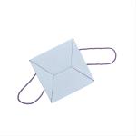 Wholesale Customized Gift Kraft/Paper/Cardboard Packaging Box Flower Packing Box