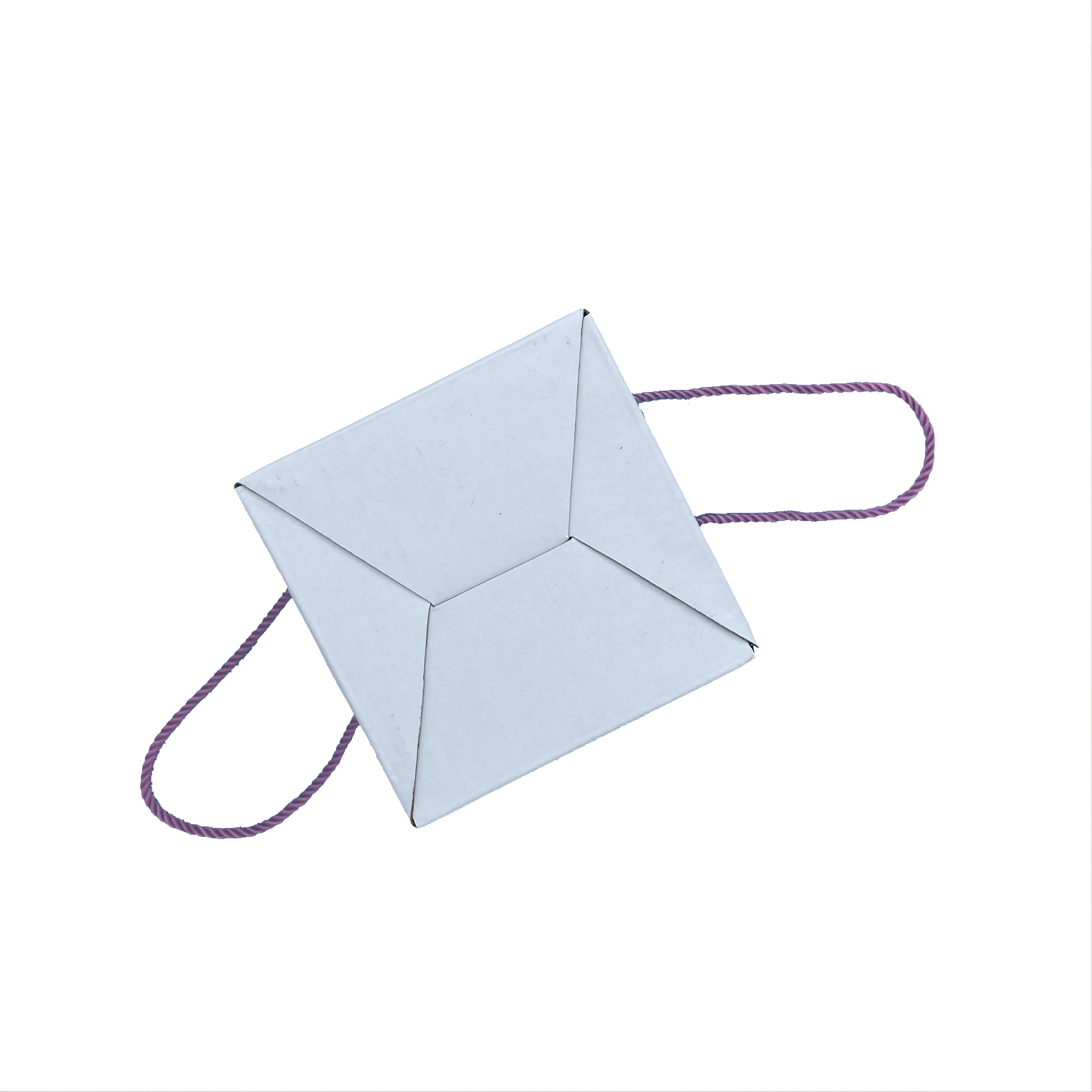 Wholesale Customized Gift Kraft/Paper/Cardboard Packaging Box Flower Packing Box With Handle