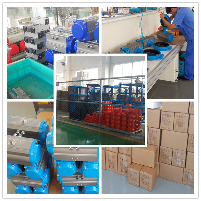 Double action or spring return rack and pinion pneumatic rotary actuator control valves