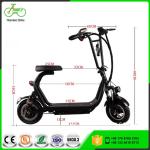 Citycoco Urban Electric Scooter 48V 8AH Lithium Battery 350W Pocket Electric