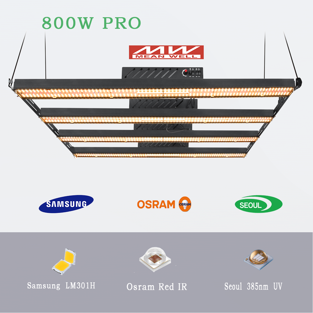 2080umol/s 5x5ft LM301H LED Grow Light 660nm 800w SAA Full Spectrum