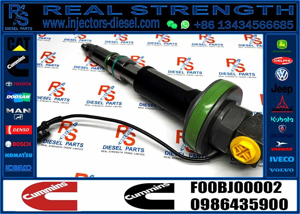Common Rail Fuel Injector 2882078 F00BJ00002 Fuel Injector For QSK50 QSK60 K19 KTA19 QSK19 Engine
