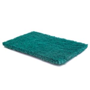 Quality Hygienic Nylon Scouring Pad Versatile Easy To Use Environmental protection wholesale
