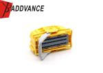China Supplier Automotive Electrical Female 54 Pin ECU Connectors