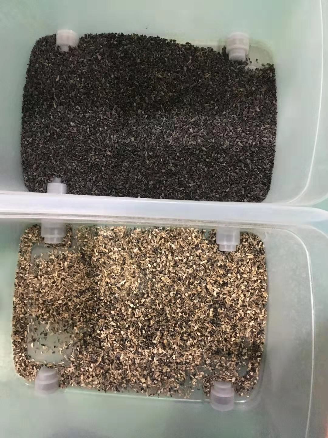 Cereal Color Sorting Machine For Soy Beans Seed Lucerne Sorghum Buckwheat Millet