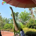 High Durability Fiberglass Dinosaurs Customized For Outdoor