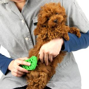 Quality Dog Hair Pet Massage Pet Cleaning Brush Deodorant Antipruritic wholesale