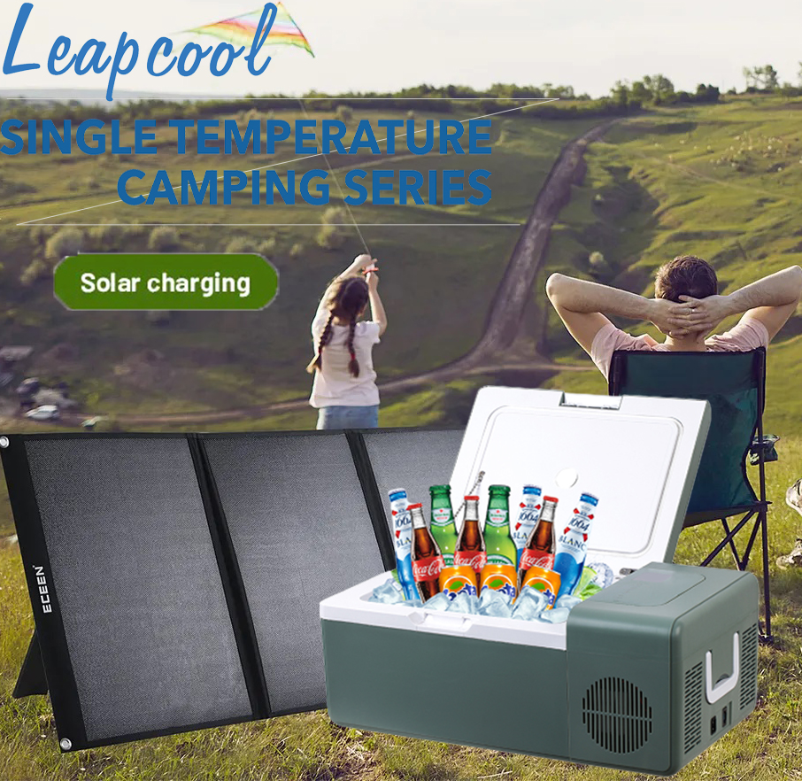 Private Mold 12V Mini Car Refrigerator For Portable Cooling Performance