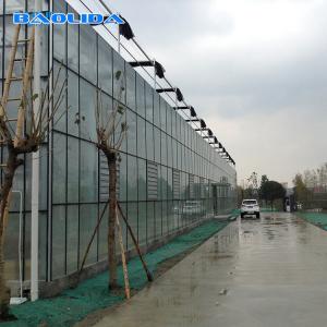 Quality Agriculture FarmingVenlo Type Greenhouse For Fish Vegetable Hydroponics And Aquaponics wholesale