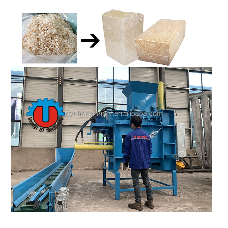 Pet Bottle Baling Press Machine Vertical Hydraulic Bailing for Waste Paper and More