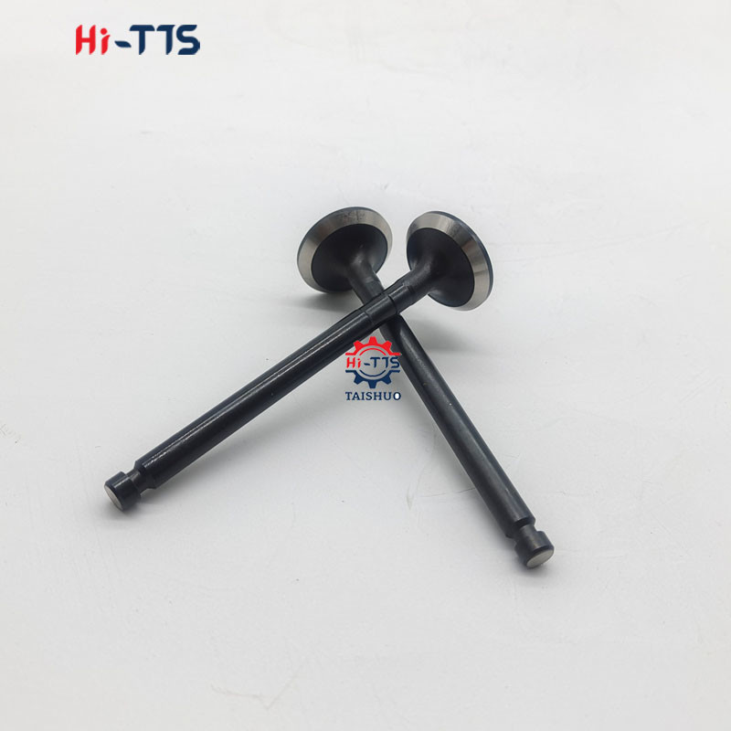 Diesel Engine Parts Exhaust Valve 129007-11110 for 4TNV92 Engine