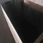 Customized Size Outdoor Hardwood Veneer Plywood High Bending Strength