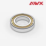 Double Row Cylindrical Roller Bearings P0 P5 NUP1000 NUP200 NUP300 NU NJ NUP N