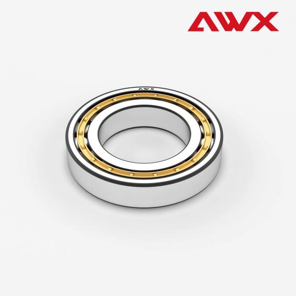 Double Row Cylindrical Roller Bearings P0 P5 NUP1000 NUP200 NUP300 NU NJ NUP N