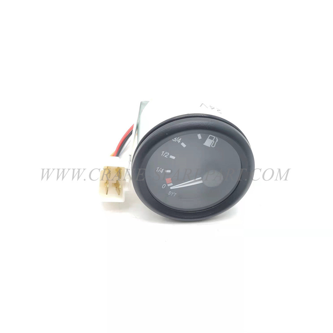 A250209000005 Fuel Gauge Replacement 0～1 DC24 IP20 IOS9001